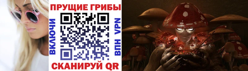Псилоцибиновые грибы GOLDEN TEACHER  Купить где  Макаров 